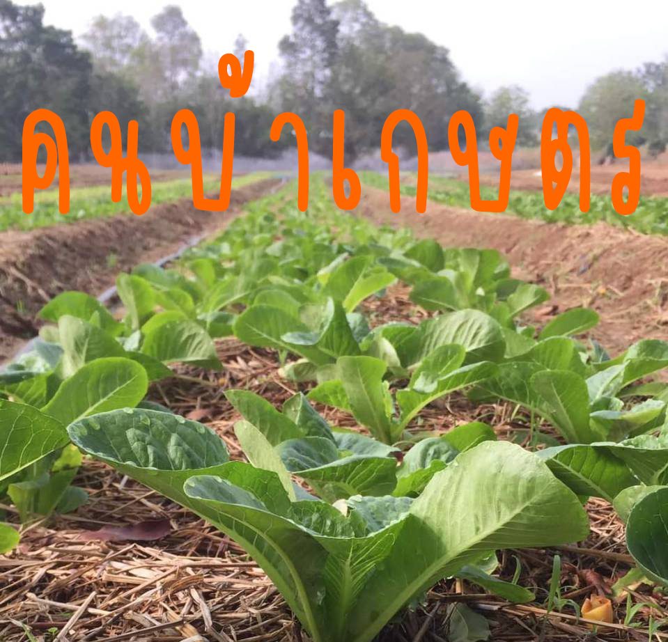 คนบ้าเกษตร